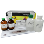 6066729 | The sensilite assay is a homogeneous luciferase-based reporter gene assay designed for ultra-sensitive detection of luminescence signals. Its exceptional sensitivity makes it ideal for applications requiring precise measurement of low-level gene expression. Delivering consistent and reproducible results, this assay is optimized for high-throughput screening and demanding experimental workflows.