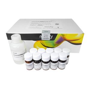 6066751 | The steadylite Plus assay is a homogeneous luciferase-based reporter gene assay designed for sensitive and accurate detection of luminescence signals. Its long-lived glow signal offers enhanced flexibility for batch processing and high-throughput screening. This assay delivers consistent, reproducible results, making it ideal for robust and sustained measurement of gene expression activity.