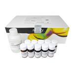 6066751 | The steadylite Plus assay is a homogeneous luciferase-based reporter gene assay designed for sensitive and accurate detection of luminescence signals. Its long-lived glow signal offers enhanced flexibility for batch processing and high-throughput screening. This assay delivers consistent, reproducible results, making it ideal for robust and sustained measurement of gene expression activity.