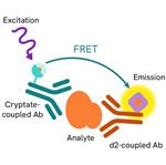 62HIFNGPEH | The HTRF Human IFN- Detection Kit is an immunoassay designed for the detection and quantitation of Human IFN- in cell supernatants, in a homogeneous (no-wash steps, no separation steps) format.