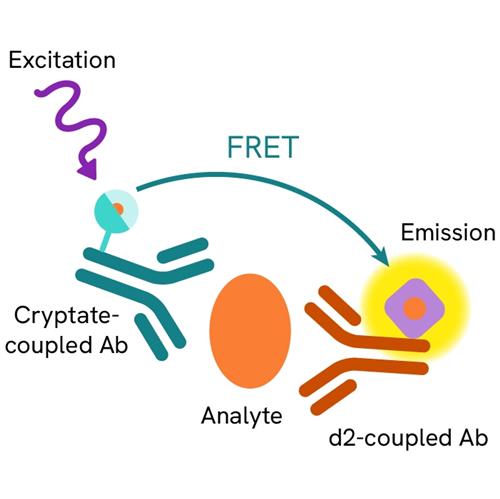 62HIL13PEH | The HTRF human IL13 kit is designed for the quantification of human IL13 release in cell supernatant.