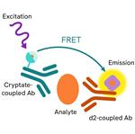 62HIL13PEH | The HTRF human IL13 kit is designed for the quantification of human IL13 release in cell supernatant.