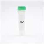 64ALKY04TDA | This lysate is a component of the Phospho ALK (Tyr1604) kit. It may be used as a positive control for ALK protein phosphorylation.