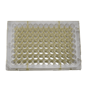 AAAND-0005 | DELFIA Streptavidin-coated yellow plate, 96-well, 10 plates