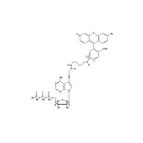 NEL439001EA | Fluorescently-labeled Fluorescein-12-ATP nucleotide analog for enzymatic incorporation, for direct fluorescence detection.