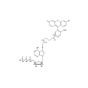 NEL439001EA | Fluorescently-labeled Fluorescein-12-ATP nucleotide analog for enzymatic incorporation, for direct fluorescence detection.