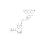 NEL439001EA | Fluorescently-labeled Fluorescein-12-ATP nucleotide analog for enzymatic incorporation, for direct fluorescence detection.