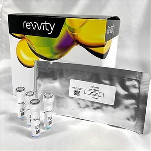 NEV20011 | Get the flexibility you need with our IVISense Featured Probes Pack Fluorescent Imaigng Panel. This panel features a wide range of fluorescent probes specific to various disease areas as well as a fluorescent labeling kit to tag your own proteins, peptides or antibodies. For research use only. Not for use in diagnostic procedures.