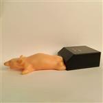 118993 | XPM 2 Bioluminescent Phantom Mouse