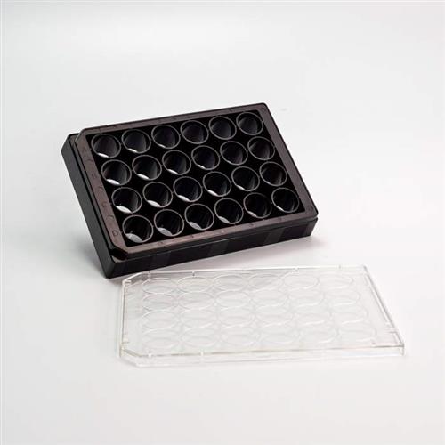 1450-605 | 24-well tissue culture treated (TC-treated) microplate with white walls and clear bottom. This plate is recommended for radiometric, SPA, or cell-based fluorescence or luminescence assays. The clear bottom enables microscopic visualization or bottom readi