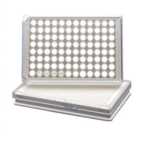 6005181 | 96-well tissue culture treated (TC-treated) sterile ViewPlate microplate with white well walls and a clear bottom for viewing plates under a microscope or bottom reading measurements.