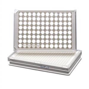 6005181 | 96-well tissue culture treated (TC-treated) sterile ViewPlate microplate with white well walls and a clear bottom for viewing plates under a microscope or bottom reading measurements.