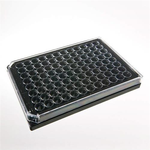 6005225 | 96-well tissue culture treated (TC-treated) sterile ViewPlate microplate with black well walls and a clear bottom for viewing plates under a microscope or bottom reading measurements.