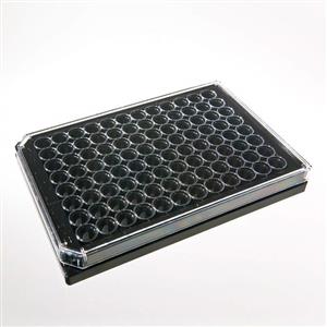 6005225 | 96-well tissue culture treated (TC-treated) sterile ViewPlate microplate with black well walls and a clear bottom for viewing plates under a microscope or bottom reading measurements.