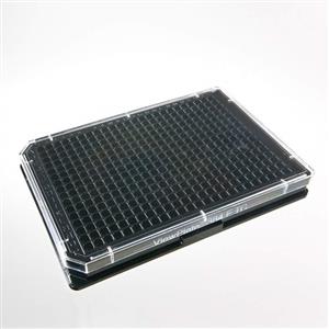 6007460 | 384-well tissue culture treated (TC-treated) sterile ViewPlate microplate with black well walls and a clear bottom for viewing plates under a microscope or bottom reading measurements.