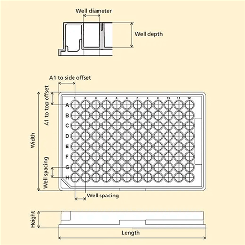 6007470 | 384-well untreated ViewPlate microplate with black well walls and a clear bottom for bottom reading measurements.