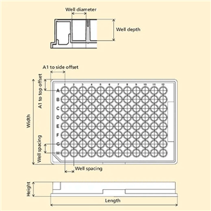 6007470 | 384-well untreated ViewPlate microplate with black well walls and a clear bottom for bottom reading measurements.