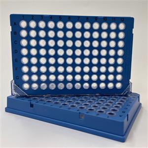 6008870 | 96-well blue-shell PCR plate with clear wells. Supplied in a case of 50.