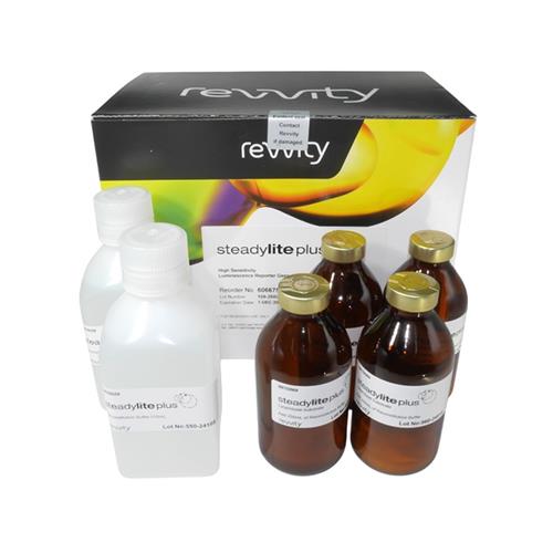 6066759 | Steadylite is a reporter gene assay with the longest-lasting signal for quantitation of firefly luciferase in mammalian cells.