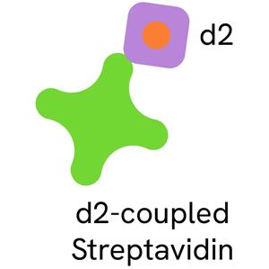 610SADLB | d2-labeled Streptavidin for capturing biotinylated proteins, peptides, antibodies, small molecules, nucleic acids.