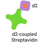 610SADLB | d2-labeled Streptavidin for capturing biotinylated proteins, peptides, antibodies, small molecules, nucleic acids.