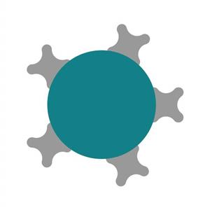 6760002S | Alpha Donor beads coated with streptavidin, for biotinylated biomolecules for use in Alpha no-wash assays.