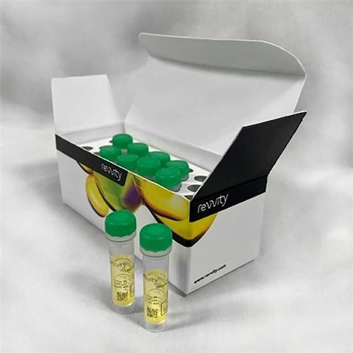 770504 | IVISbrite; D-Luciferin Bioluminescent Substrate in RediJect; Solution (RediJect D-Luciferin K+ salt) is a bioluminescent in vivo substrate in a convenient ready-to-use, pre-formulated injectable format developed by Revvity to fit your laboratory workflow.