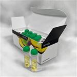 770504 | IVISbrite; D-Luciferin Bioluminescent Substrate in RediJect; Solution (RediJect D-Luciferin K+ salt) is a bioluminescent in vivo substrate in a convenient ready-to-use, pre-formulated injectable format developed by Revvity to fit your laboratory workflow.