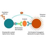 AL3018F | The AlphaLISA; immunoassay kit for human VEGFR 1 (FLT-1) enables the quantitative determination of VEGFR 1 in serum, buffered solution, and cell culture supernatants using a homogeneous AlphaLISA assay (no wash steps).