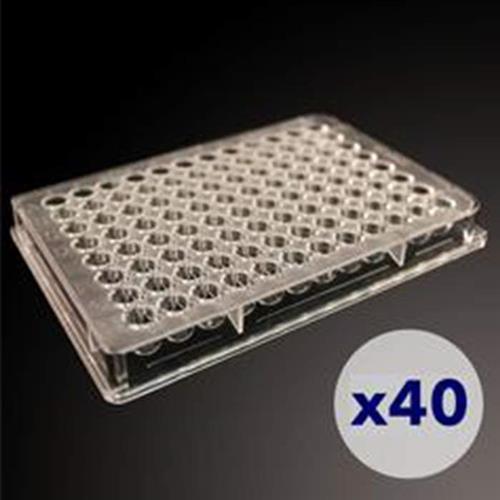 CHM24-A100-004 | High-throughput cell counting plates designed for the Cellaca MX, Cellaca PLX, and Celigo image cytometer.