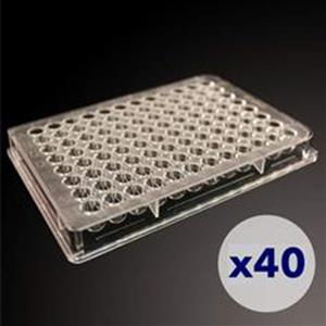 CHM24-A100-004 | High-throughput cell counting plates designed for the Cellaca MX, Cellaca PLX, and Celigo image cytometer.