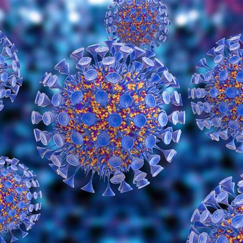 CLS960002 | Create the bioluminescent cell line you needStably-transduce cells with prepackaged IVISbrite; Lentiviral Particles (RediFect; Lentiviral Particles) expressing a combination of novel luciferases and a fluorescent protein for monitoring tumor growth, track