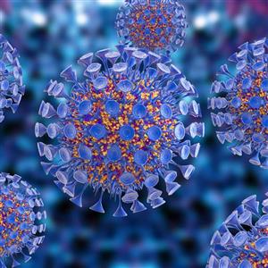CLS960002 | Create the bioluminescent cell line you needStably-transduce cells with prepackaged IVISbrite; Lentiviral Particles (RediFect; Lentiviral Particles) expressing a combination of novel luciferases and a fluorescent protein for monitoring tumor growth, track