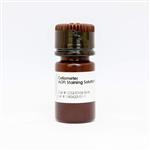 CS2-0106-5ML | A staining solution for the detection of live and dead nucleated mammalian cells.