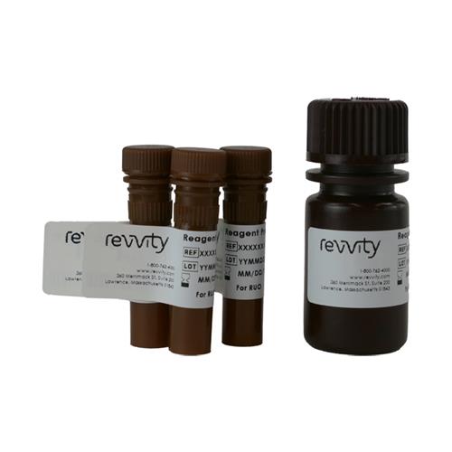 CSK-V0007-1 | A no-wash assay designed to discriminate between healthy, apoptotic, and dead cells. For use with the Celigo instrument.