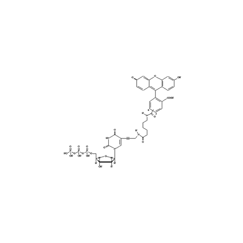 NEL413001EA | Fluorescently-labeled Fluorescein-12-dUTP nucleotide analog for enzymatic incorporation, for direct fluorescence detection.