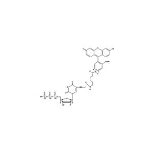 NEL413001EA | Fluorescently-labeled Fluorescein-12-dUTP nucleotide analog for enzymatic incorporation, for direct fluorescence detection.