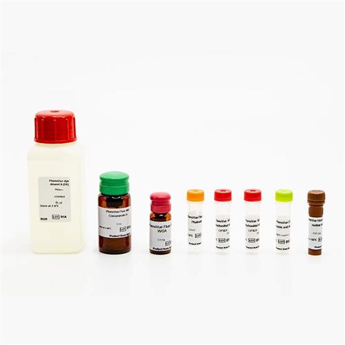 PING22 | PhenoVue; Cell Painting JUMP Kits comprises 6 validated, pre-optimized fluorescent probes, in accordance with the JUMP consortium protocol v3, and associated diluent to streamline the cell painting workflow.The kits offer excellent batch-to-batch reproduc