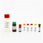 PING22 | PhenoVue; Cell Painting JUMP Kits comprises 6 validated, pre-optimized fluorescent probes, in accordance with the JUMP consortium protocol v3, and associated diluent to streamline the cell painting workflow.The kits offer excellent batch-to-batch reproduc