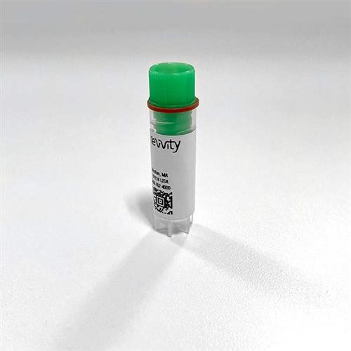RBHS3M400UA | Cell membranes prepared from cells stably-transfected with human Serotonin 5-HT3 receptor, in HEK-293 cells.