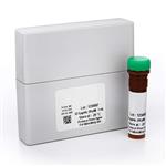 TRF0133-D | Generic peptide substrate for use in TR-FRET biochemical kinase assays. Refer to Selector Guide for validated kinases. ULight;-labeled synthetic peptide derived from residues 73-85 of rat Acetyl-CoA Carboxylase in which Ser77 is mutated to Ala (also known