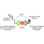 TRF1293C | The LANCE® Ultra Human IL-11 Detection Kit is designed for detection and quantitation of human interleukin-11 in cell culture media using a homogeneous TR-FRET (no-wash steps, no separation steps) assay.