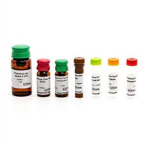 PING11 | PhenoVue Cell Painting Kits comprise 6 validated, pre-optimized fluorescent probes, and associated diluent to streamline the cell painting workflow. The kits offer excellent batch-to-batch reproducibility, are supplied with a step-by-step protocol, and are available in a range of pack sizes to match your throughput requirements. PhenoVue Cell Painting Kits are validated for use on high-content screening systems such as the Opera Phenix Plus system. View our extensive validation data in the Product Information Sheet within the Resources tab below.