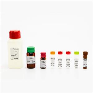 PING22 | PhenoVue Cell Painting JUMP Kits comprises 6 validated, pre-optimized fluorescent probes, in accordance with the JUMP consortium protocol v3, and associated diluent to streamline the cell painting workflow. The kits offer excellent batch-to-batch reproducibility, are supplied with a step-by-step protocol, and are available in a range of pack sizes to match your throughput requirements. PhenoVue Cell Painting JUMP kits are validated for use on high-content screening systems such as the Opera Phenix Plus system. View our extensive validation data in the Product Information Sheet within the Resources tab below.