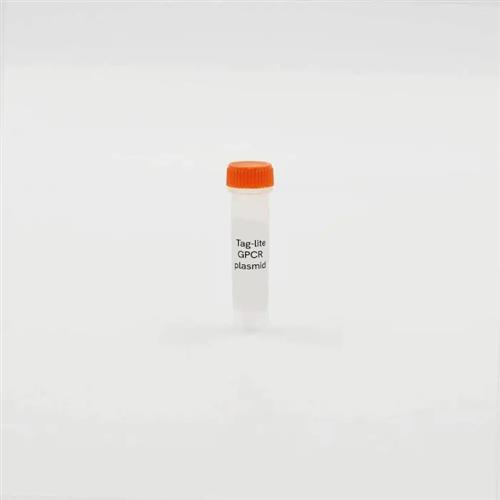 PSNAPA1 | The Tag-lite A1 Adenosine receptor plasmid is used to transiently or stably transfect cells in order to develop an A1 Adenosine receptor binding assay.