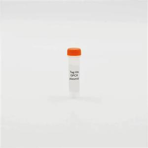 PSNAPBETA1 | The Tag-lite Beta1 adrenoplasmid is used to transiently or stably transfect cells for the purpose of developing a Beta1 adrenoreceptor binding assay.
