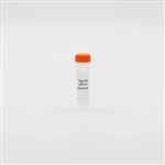 PSNAPGLP1 | The Tag-lite GLP1 Glucagon plasmid is used to transiently or stably transfect cells for the purpose of developing a GLP1 Glucagon receptor binding assay.