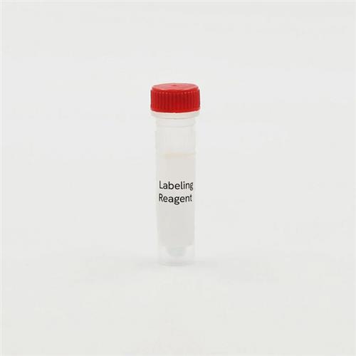 SCLPREDF | SNAP-Tag, Clip-Tag, and HALO-Tag are protein labeling systems enabling the covalent attachement of fluorophores onto proteins of interest. CLIP-Red enables CLIP-tagged proteins to become labeled with a red fluorophore.