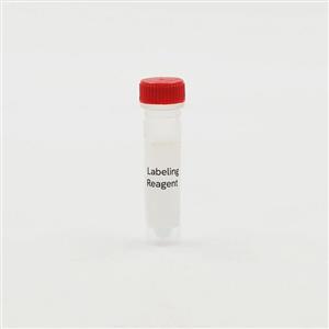SCLPREDF | SNAP-Tag, Clip-Tag, and HALO-Tag are protein labeling systems enabling the covalent attachement of fluorophores onto proteins of interest. CLIP-Red enables CLIP-tagged proteins to become labeled with a red fluorophore.