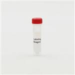 SCLPREDF | SNAP-Tag, Clip-Tag, and HALO-Tag are protein labeling systems enabling the covalent attachement of fluorophores onto proteins of interest. CLIP-Red enables CLIP-tagged proteins to become labeled with a red fluorophore.
